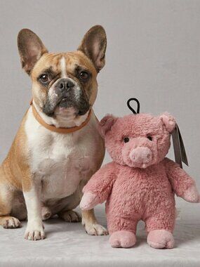 Dog Star's Dalton the Pig Plush Dog Toy with Squeakers 9 inch